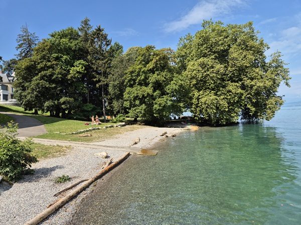 plage parc dolfus