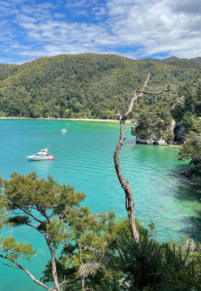 abel tasman vue