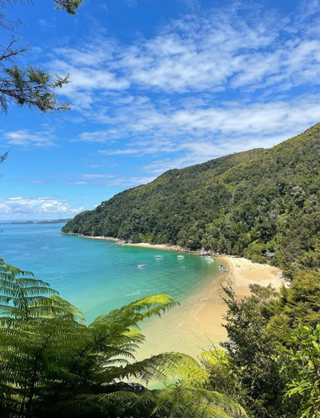 abel tasman