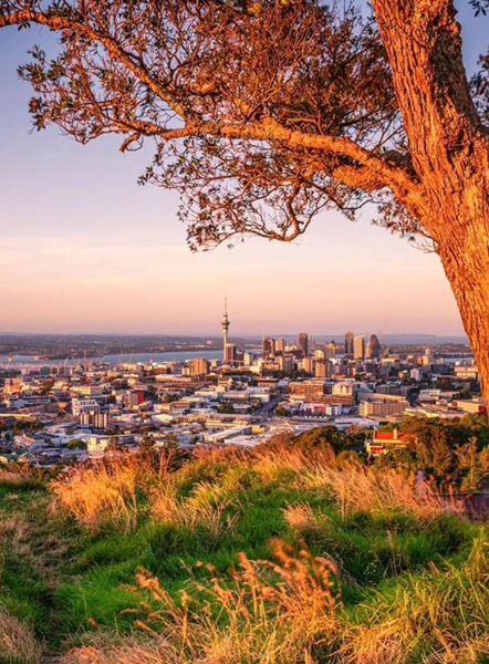 auckland paysage