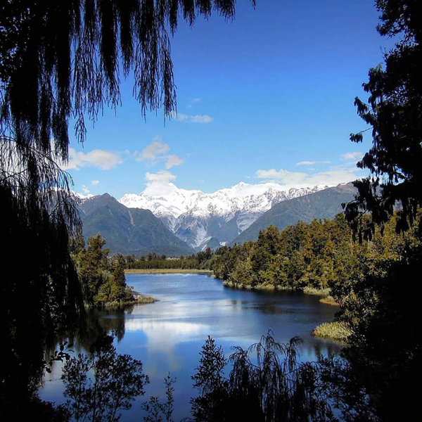 fox glacier