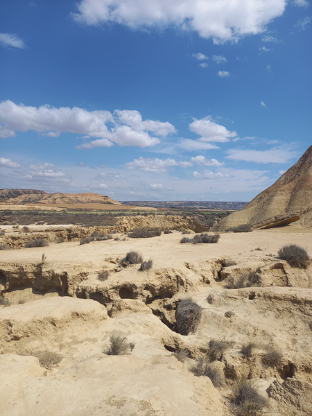 desert bardenas