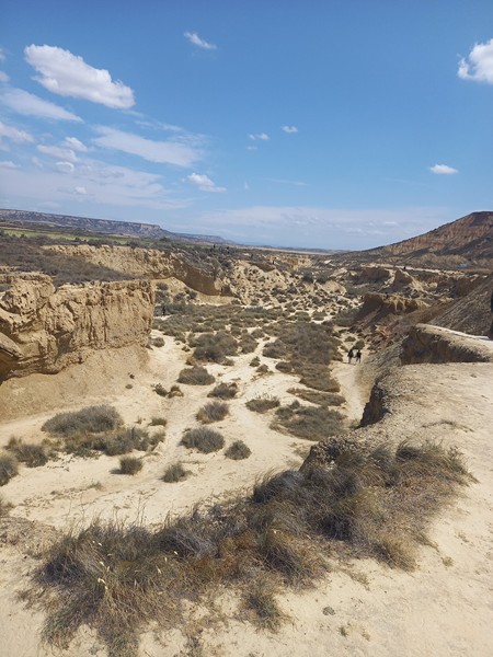 desert de bardenas