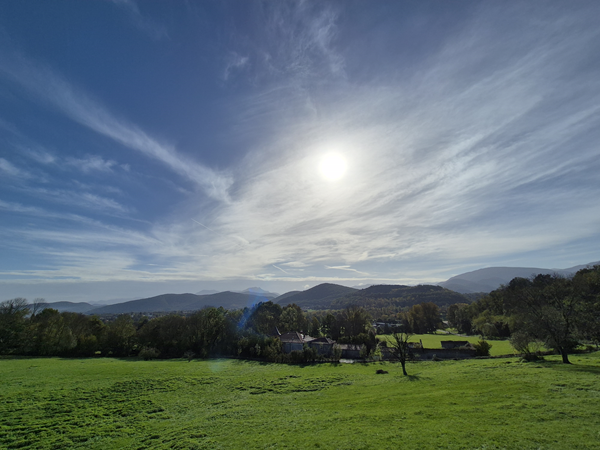 pyrenees