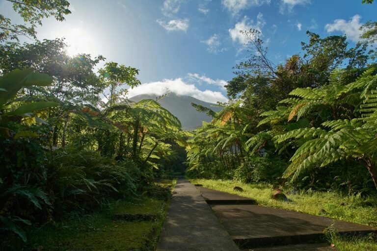 voyager en van en guadeloupe